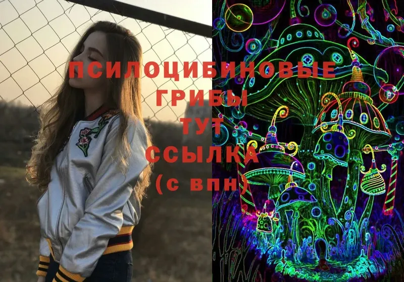 Псилоцибиновые грибы MAGIC MUSHROOMS  наркошоп  Рославль 